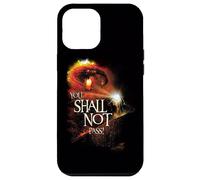 The Lord of the Rings You Shall Not Pass Case for iPhone 12 Pro Max