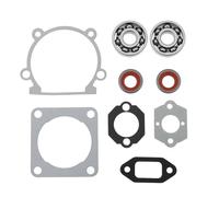 The Lord of the Tools 9-Piece Cylinder Foot Seals, Oil Seals and Bearings, Compatible with Stihl FS120 FS200