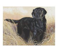 The Lost Ball Counted Cross Stitch Kit by Elite Designs