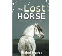 The Lost Horse - Dyslexia Friendly: 6 (Connemara Horse Adventure)