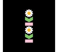 The Lottery Winners - KOKO