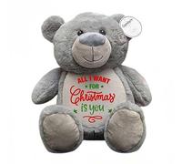 The Lovely Keepsake Company All I Want For Christmas Is You Teddy Bear (Song Inspired) | Super Soft Plush Gift for Partner, Him, Her & Family | Romantic 30cm when sat
