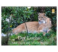 The lynx - The hunter on silent paws UK-Version (Wall Calendar 2026 DIN A4 Landscape), CALVENDO 12 Month Wall Calendar