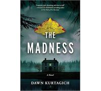 The Madness: A Novel