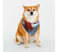 The mage Wearing a red Hood Pet Scarf Stylish Triangle Bid Scarf Bandana Pet Accessory,Washable Pet Kerchief for Girl Boy Dogs or Cats Large