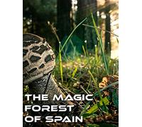 The Magic Forest of Spain