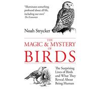 The Magic & Mystery of Birds: The Surprising Lives of Birds and What They Reveal About Being Human