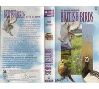 The Magical World of British Birds - Bird Landscapes