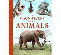 The Magnificent Book of Animals : JOURNEY INTO THE WILDERNESS TO SEE THE MOST MAGNIFICENT ANIMALS