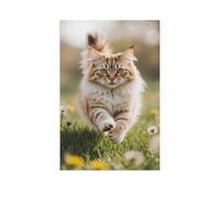 The Maine Coon cat walks full of energy through a blooming spring meadow，Vintage Tin Signs Funny Metal Tin Sign Wall Art Garden House Plaque for Bathroom Kitchen Cafe (30x40cm）-AM50