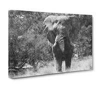 The Majestic Elephant Canvas Print for Living Room Bedroom Home Office Décor, Wall Art Picture Ready to Hang, 30 x 20 Inch (76 x 50 cm)