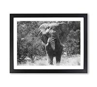 The Majestic Elephant Painting Modern Art Framed Print | A4 Black Framed Wall Art | Ready to Hang | Modern Animal Picture | Living Room Bedroom Lounge Office