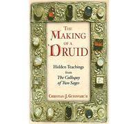 The Making of a Druid: Hidden Teachings from the Colloquy of Two Sages