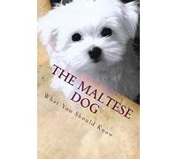 The Maltese Dog: What You Should Know