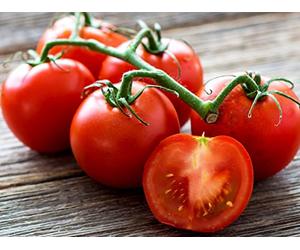 The Many Forms of Fruit: Tomatoes to Peanuts