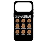 The Many Moods Of Saying Nothing Emotions Quote Case for iPhone 17 Pro Max
