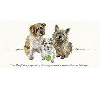 The Many Paws Little Dog Laughed Greeting Card Blank Inside Any Occasion AC49