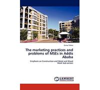 The marketing practices and problems of MSEs in Addis Ababa: Emphasis on Construction and Metal and Wood Work Sub-sectors