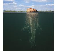 Mars Volta,the - De-Loused in the Comatorium [VINYL]