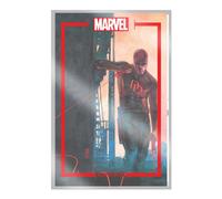 The Marvel Portfolio of Alex Maleev : Daredevil