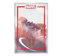 The Marvel Portfolio of Alex Maleev : The Marvel Universe