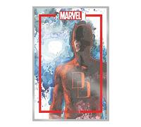 Mack, David - The Marvel Portfolio of David Mack: Daredevil