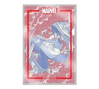 The Marvel Portfolio of Michael Allred - Silver Surfer