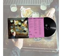 THE MARY WALLOPERS - PADDYWHACKERY [VINYL]