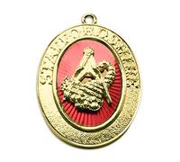 THE MASONIC COLLECTION - Provincial Stewards Collar Jewel - Gold Plated Finish - Comes with Round Hook - Ideal Freemason Gifts for Men