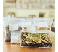 THE MASONRY | Isopod Terrarium Starter Kit | Roly Poly Farm Kit with Acrylic Terrarium and Container Accessories Including Leaf Litter Substrate, Soil Base, Moss, Calcium | Bug Terrarium Kit
