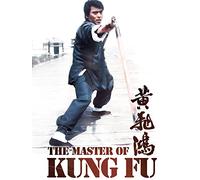 The Master Of Kung Fu