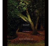 The Matthew Herbert Big Band - The State Between Us
