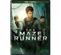 The Maze Runner
