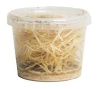 The Mealworm Company LIVEFOODS DIRECT Small Wingless Fruit Flies Culture
