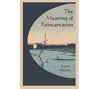 The Meaning of Reincarnation