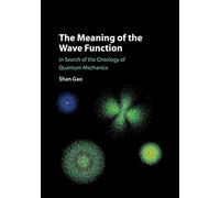 The Meaning of the Wave Function: In Search of the Ontology of Quantum Mechanics