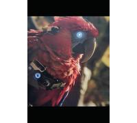 The Mechanical Garden