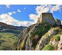 The Medieval Cathars