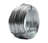 The Mesh Company Galvanised Green PVC Thick Garden Tensioning Line Wire | Quality European Stock (1mm Galv 500g Coil 80 Metres)