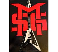 The Michael Schenker Group - MSG