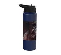 The Mighty Viking with Armor of war Stainless Steel Insulated Water Bottle