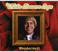 The Mike Flowers Pops - Wonderwall