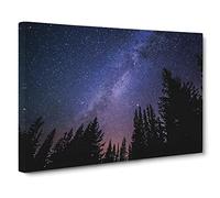 The Milky Way Space Galaxy Forest Modern Canvas Wall Art Print Ready to Hang, Framed Picture for Living Room Bedroom Home Office Décor, 20x14 Inch (50x35 cm)