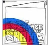 The Miracle of Shame by MR. T EXPERIENCE