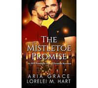 The Mistletoe Promise: An MM Nonshifter MPreg Christmas Romance
