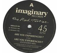 The Mock Turtles - ARE YOU EXPERIENCED 12 INCH (12" VINYL) UK IMAGINARY 1990