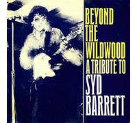 The Mock Turtles, Plasticland a.o. - Various: Beyond The Wildwood - A Tribute To Syd Barrett - LP