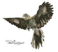 The Mockingbird by John Zorn