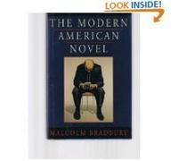 The Modern American Novel: New Edition