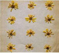 The Molochs - Flowers In The Spring